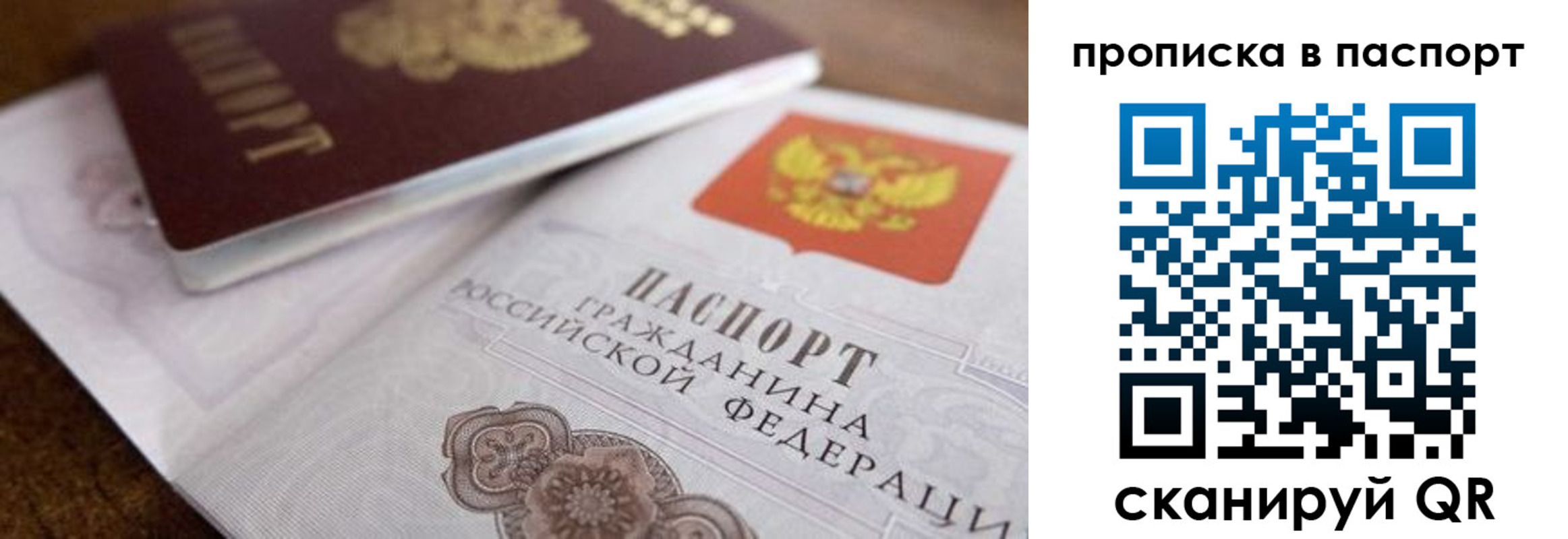 где прописаться в Московской области